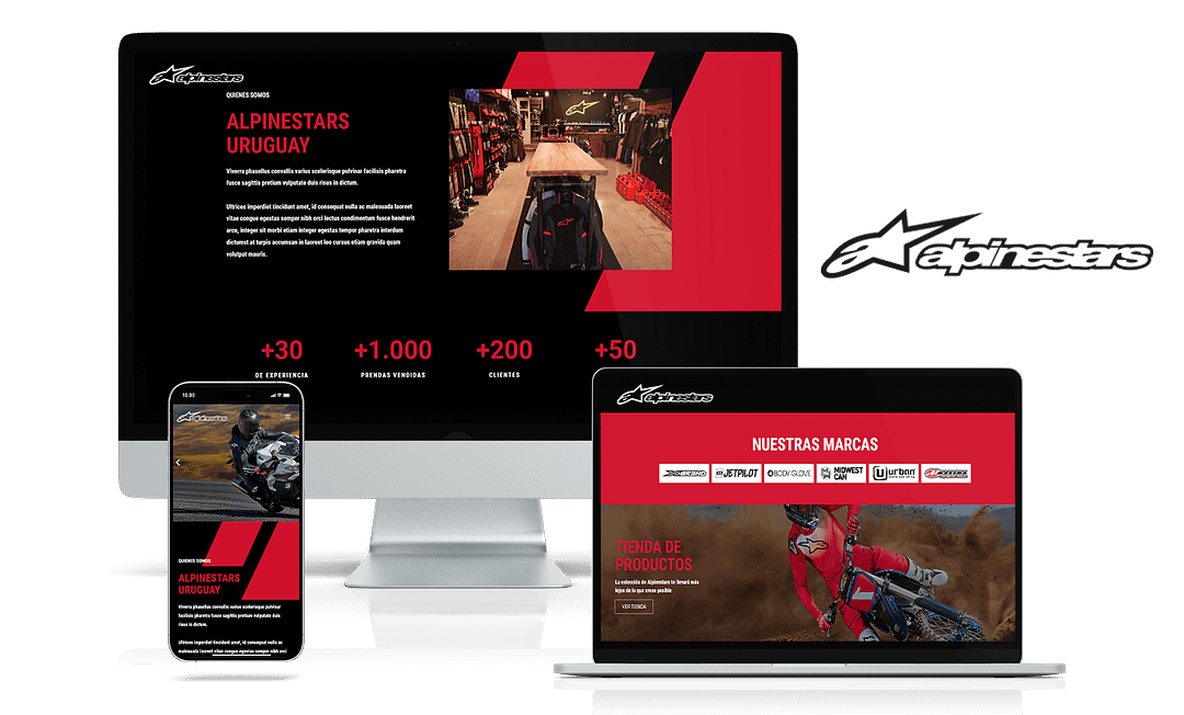 Servicio Diseño Web AlpineStars Uruguay