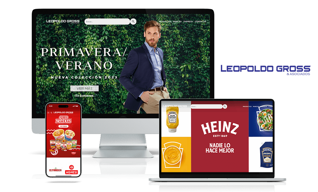 Servicio Diseño Web Leopoldo Gross Uruguay