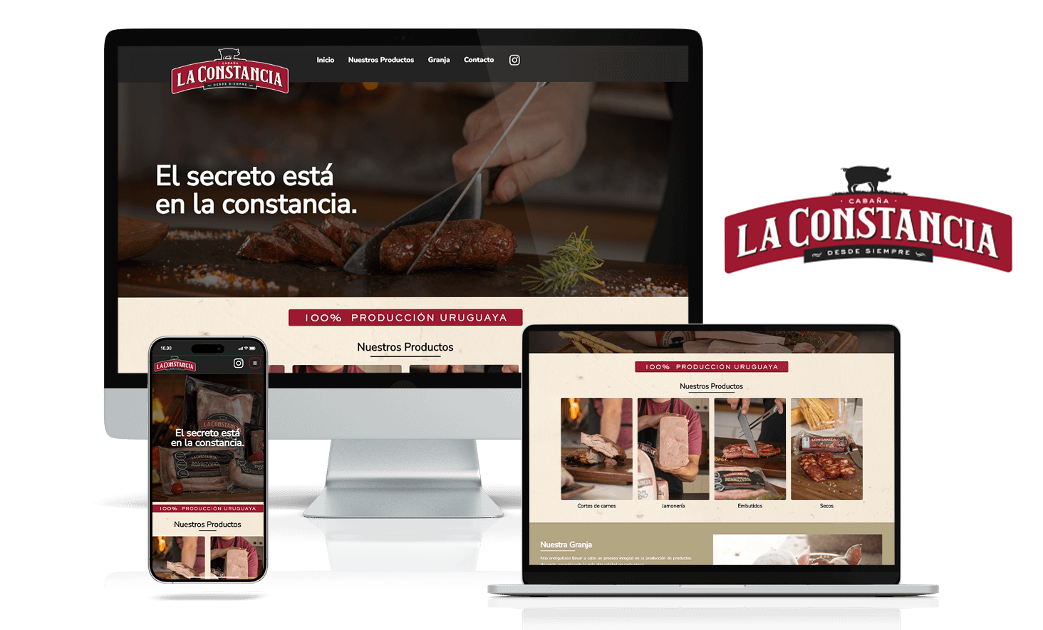 Servicio Diseño Web La Constancia Uruguay