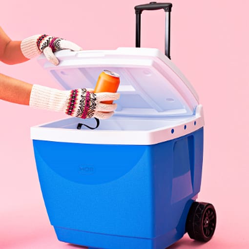 Conservadora Heladera Mor Carro 42 LTS Azul - Imagen 7