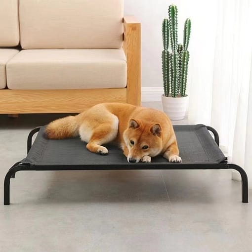 Cama Cucha Elevada Catre Perro Gato Mascotas 71 X 63 Cm - Imagen 6