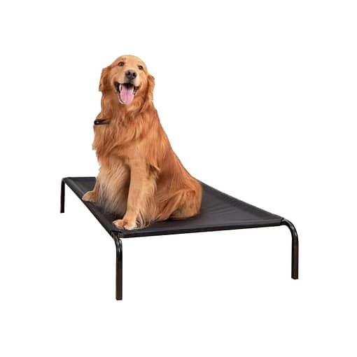 Cama Cucha Elevada Catre Perro Gato Mascotas 71 X 63 Cm