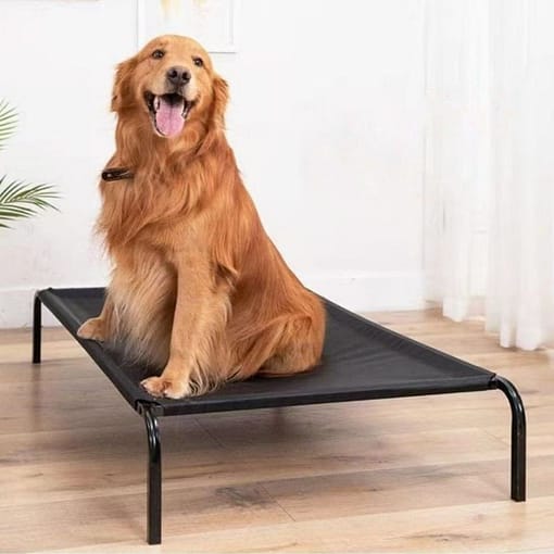 Cama Cucha Elevada Catre Perro Gato Mascotas 71 X 63 Cm - Imagen 4