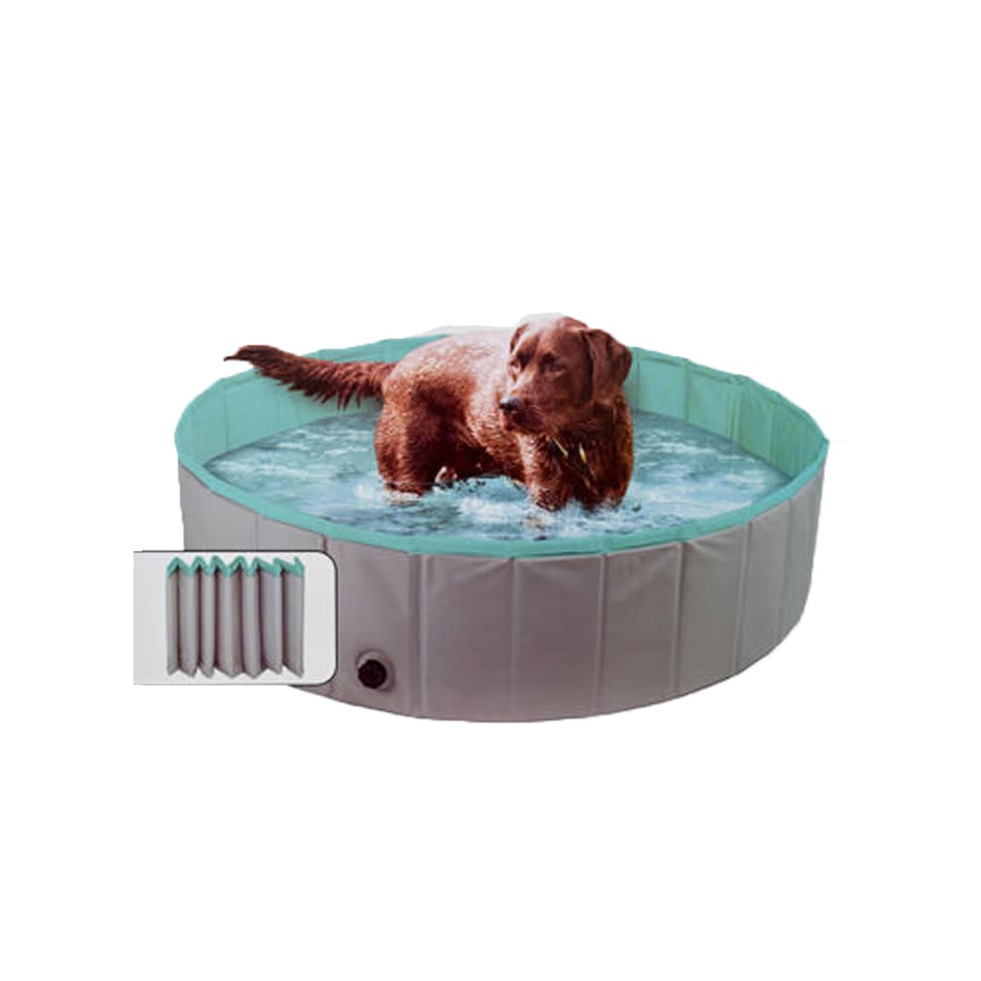 Piscina Para Perro Plegable MundoTrabajo