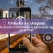 Fintechs en Uruguay Cómo Están Cambiando la Economía Digital en el País