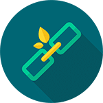 Link Building
