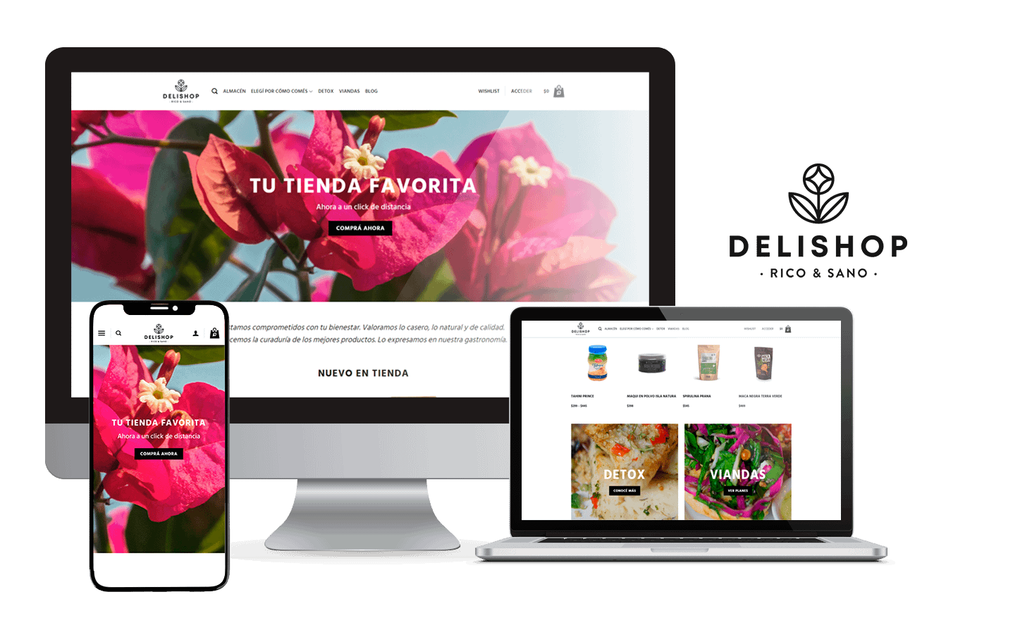 Desarrollo Tienda Online Delishop