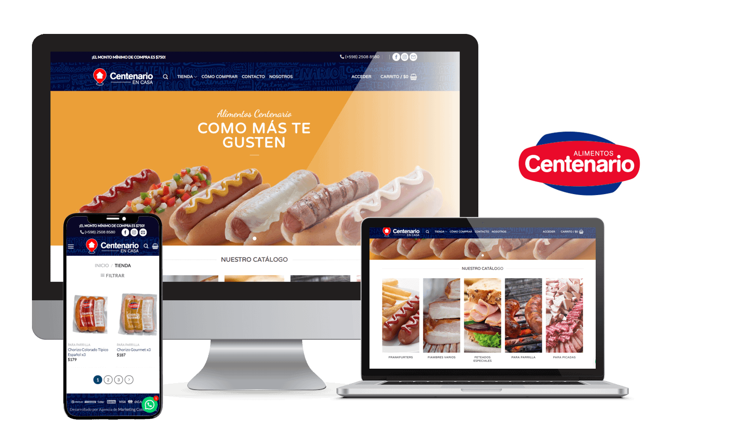Desarrollo Tienda Online Centenario