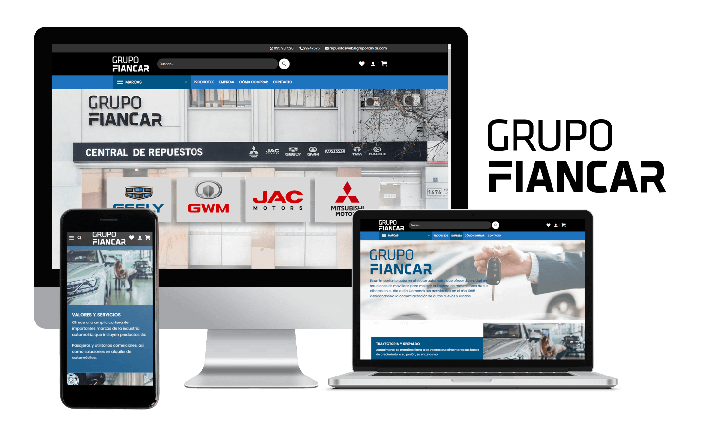 Desarrollo Tienda Online Grupo Fiancar